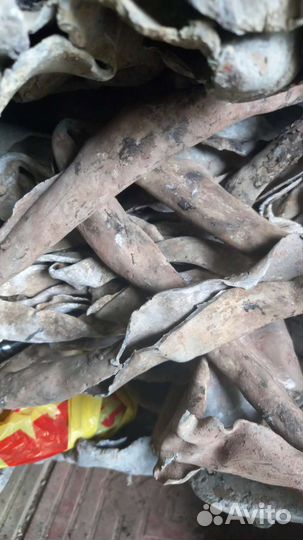 Свинец кабельный