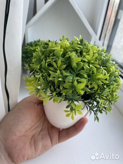 Искусственные зеленые цветы в горшке самшит