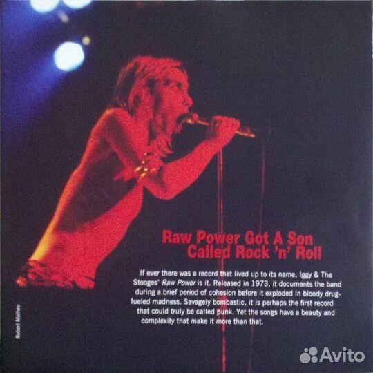 Iggy Pop & Stooges: Raw Power (Vinyl) (2 LP)