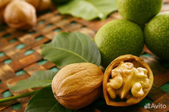 Саженцы орех грецский и персик нискорослый