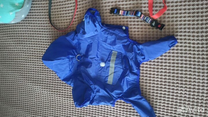 Амуниция для собак