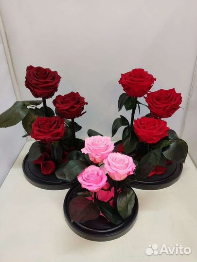 Цветы оптом