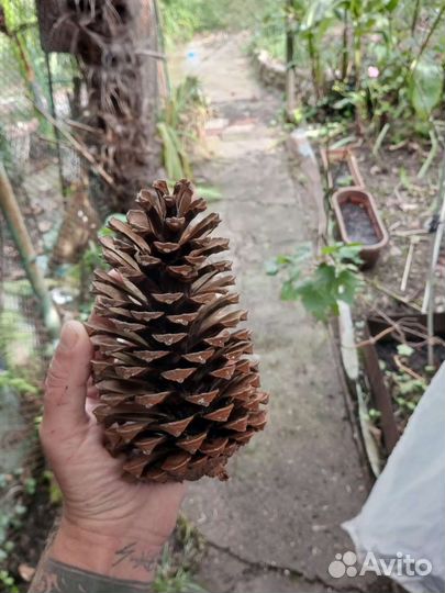 Новогодний декор