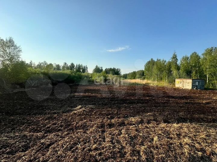 Участок 10,5 сот. (СНТ, ДНП)