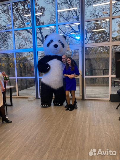 Медведь на праздник/ поздравление белого медведя