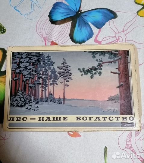 Спички СССР. 