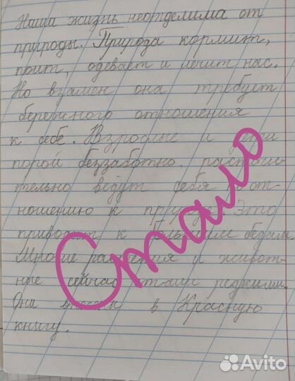 Репетитор начальных классов