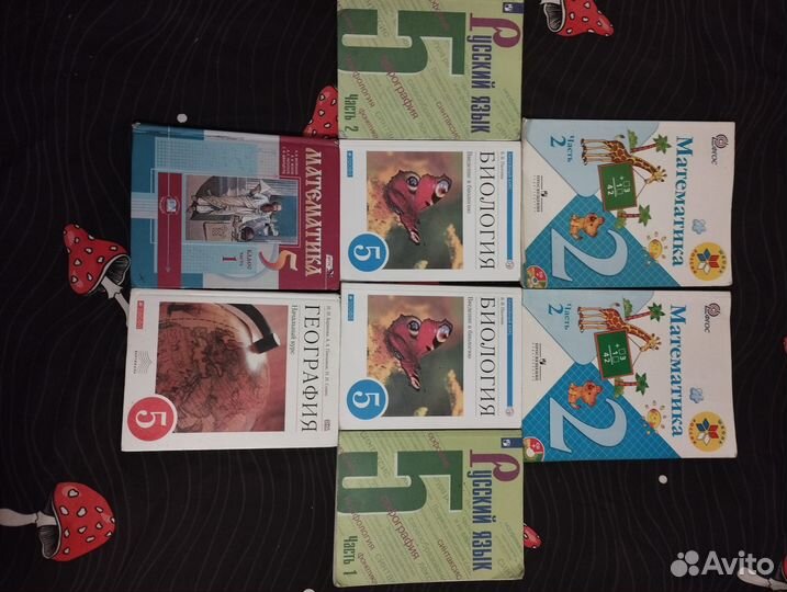 Учебники 2 и 5 класс