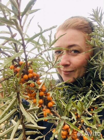 Ведущий на праздник свадьбу юбилеи