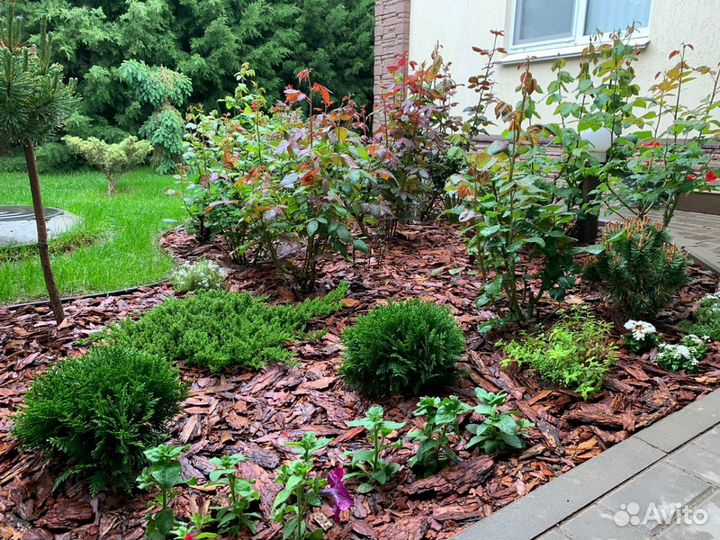 Кора лиственницы, сосны, грунты, террасная доска