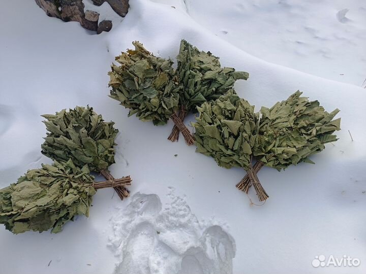 Дубовые веники для бани