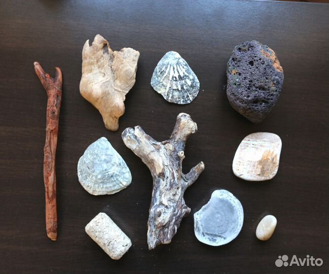 Морские находки 2 набора дерево шишки, ракушки