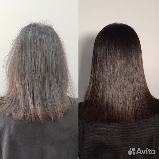 Нужна модель бесплатно