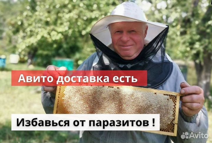 Мед с антипаразитарным действием
