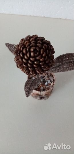 Топиарий из кофейных зёрен