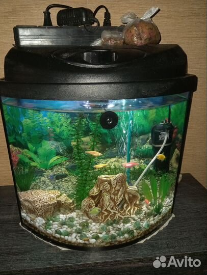 Аквариум