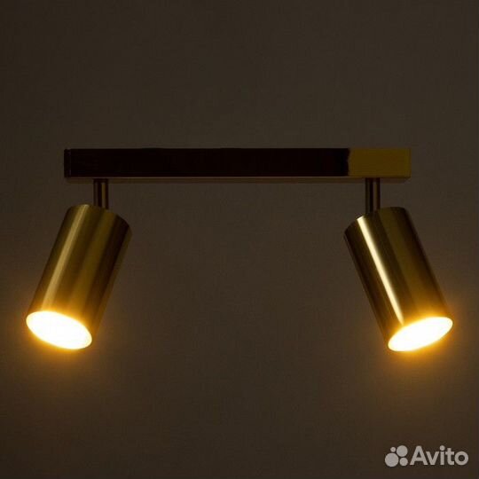 Спот 'Этнес' 2хGU10 золото 29,5х6,5х16,5 см