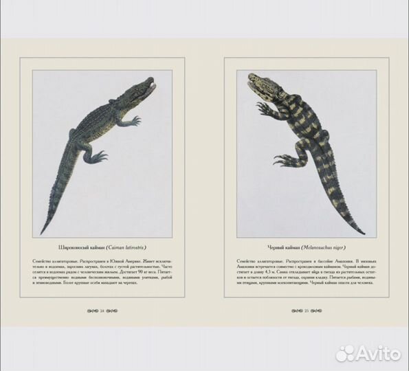 Книга рептилии