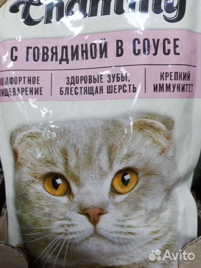 Корм для кошек. Для собак Чамми