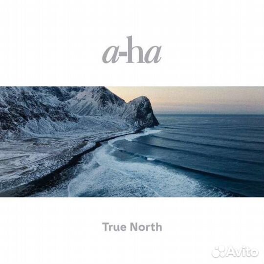 A-ha - True North/ Vinyl(2LP/180 Gram/Gatefold)