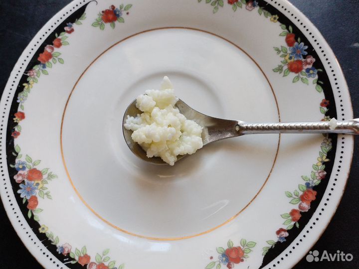 Индийский морской рис и кефирный гриб