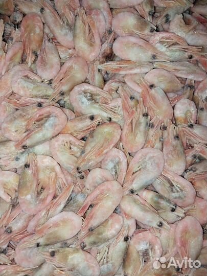 Креветки северные в/м