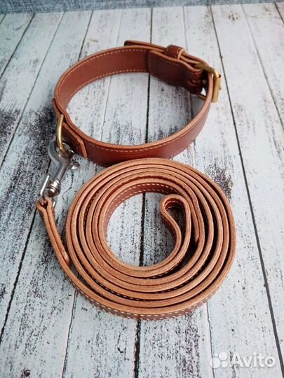 Ошейник и поводок для собаки
