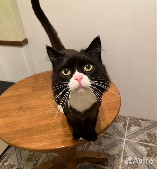 Зоогостиница. Передержка домашних животных