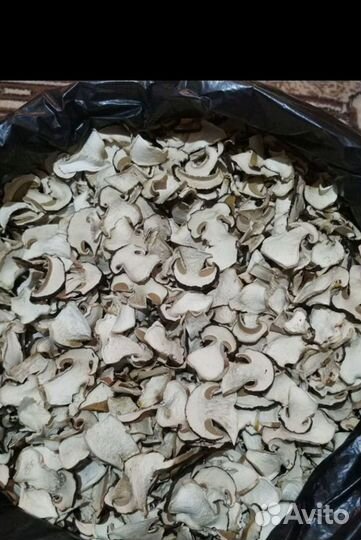 Сухие белые грибы