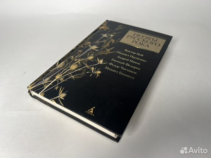 Поэты русского рока, Цой, Этот русский рок