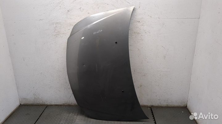 Капот Fiat Sedici, 2009