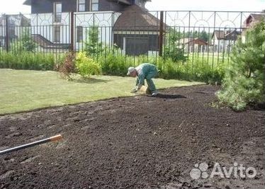 Газон от производителя