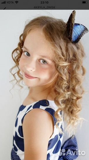 В подарок, живые тропические бабочки и бабочкарии