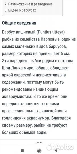 Аквариумные рыбки
