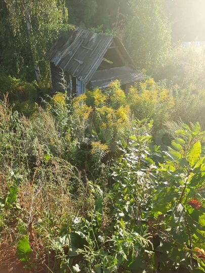 Участок 4,6 сот. (ИЖС)