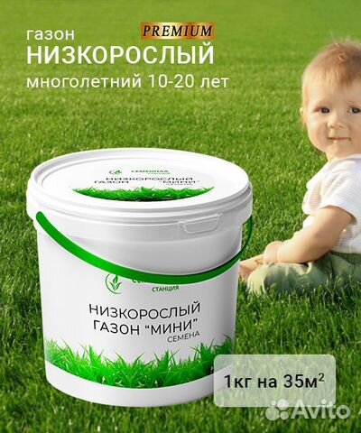 Семена газона низкорослого