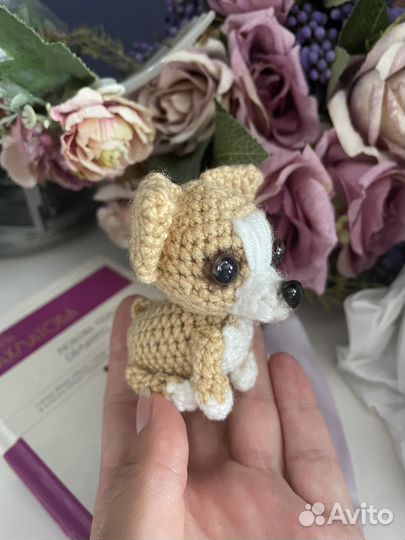 Питбультерьер, чихуахуа, французский бульдог