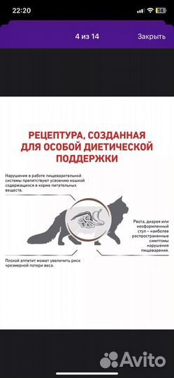 Сухой корм для кошек royal canin 2кг