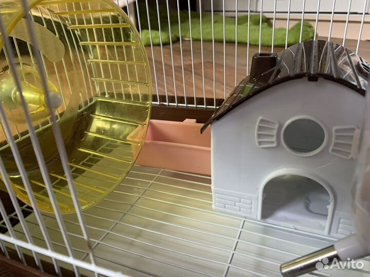 Клетка для джунгарского хомяка