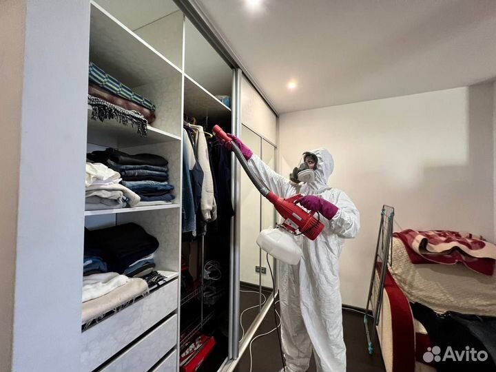 Уничтожение клопов, тараканов. Дезинфекция