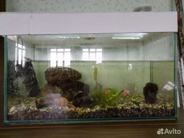 Аквариум