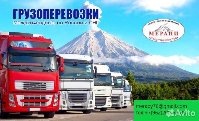 Водитель автомобиля