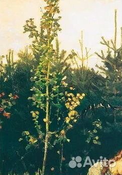 Репродукция картины Алёнушка Музейное качество