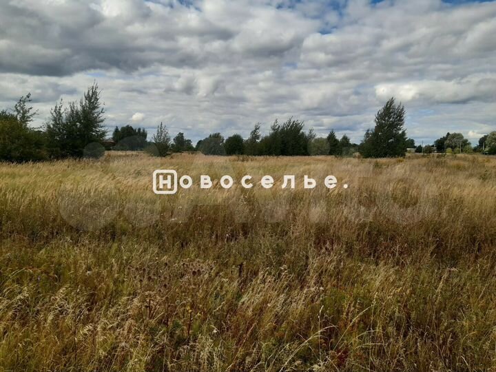 Участок 16 сот. (ИЖС)