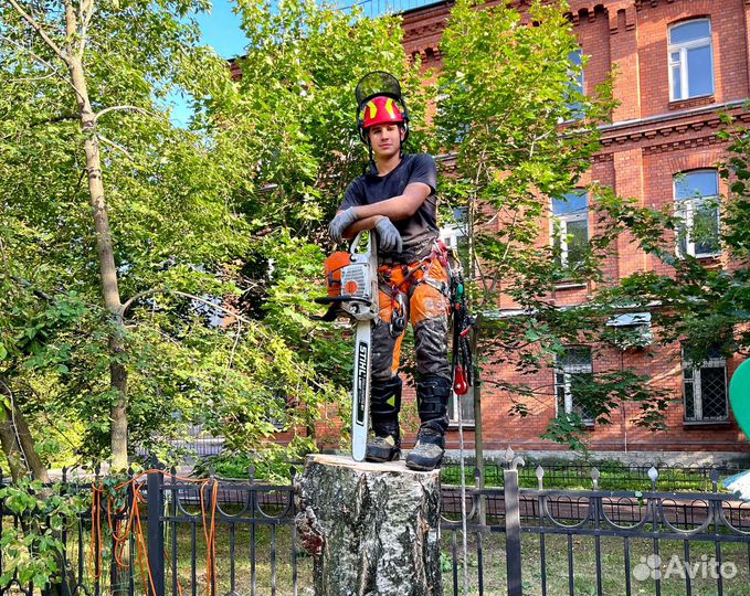 Спилить дерево