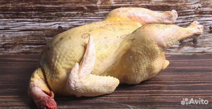 Мясо домашнего бройлера