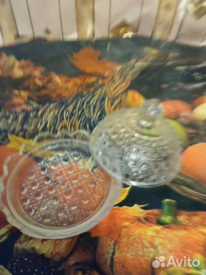 Салатница с крышкой для сыра,масла