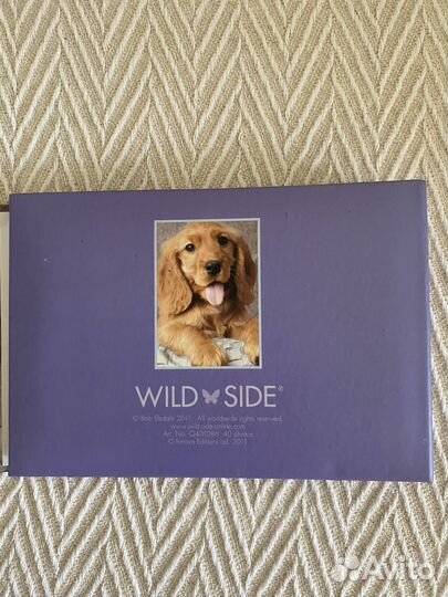 Фото альбом (40) фото