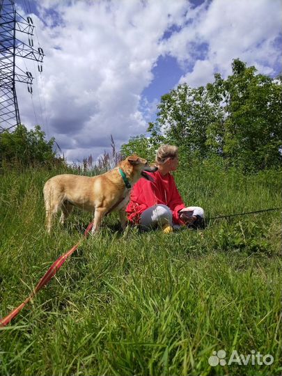 Старушка Чара из приюта на доживание