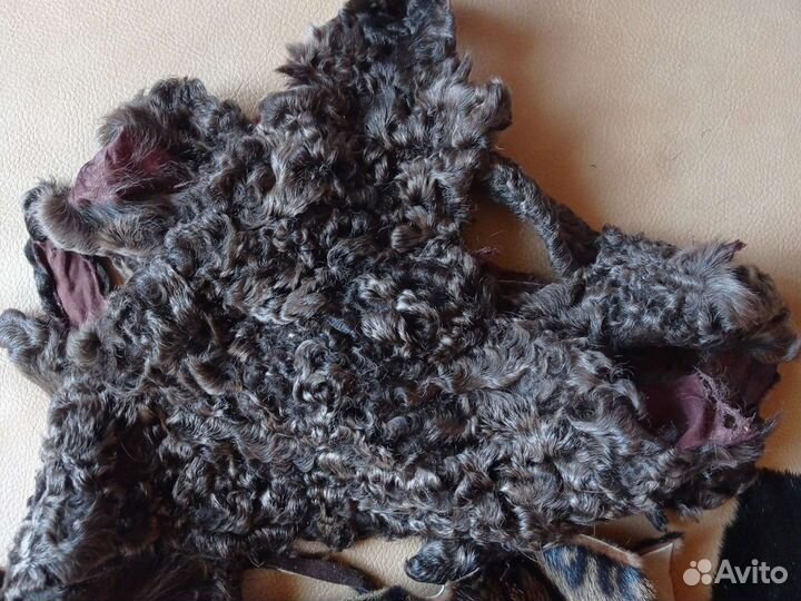 Шкурка животного